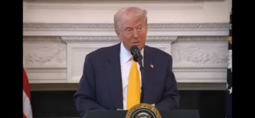 In the first 100 days of his second term, President Donald T